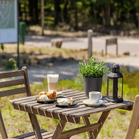 Holiday home Detached Forest With Dishwasher At De Veluwe *
