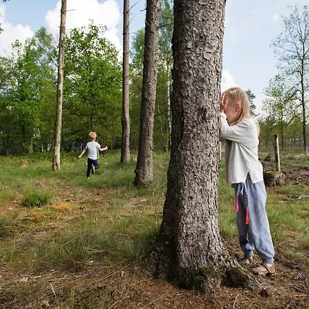 Detached Forest With Dishwasher At De Veluwe * Hoenderloo
