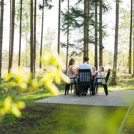 Detached Forest With Dishwasher At De Veluwe *